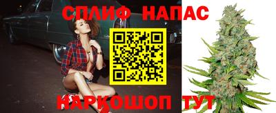 ГАЛЛЮЦИНОГЕННЫЕ ГРИБЫ Канаш