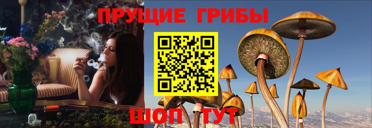 Марихуана  COCAIN  Вход с VPN  Коряжма  ГАШ  Мефедрон  Меф  