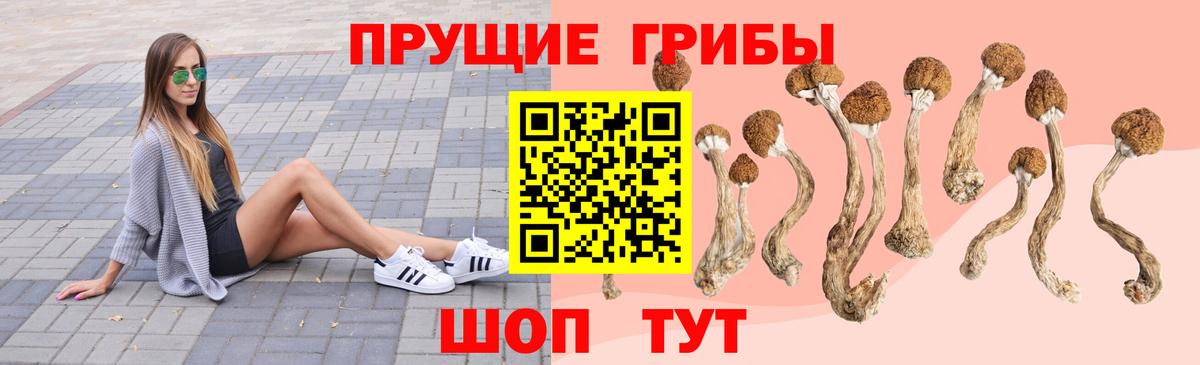 Галлюциногенные грибы ЛСД  Галлюциногенные грибы ЛСД  Коряжма  где можно купить   Вход с VPN 